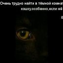 ���� ����������, ������, 51 ��� - ��������� 28 ������ 2017 � ������ ������ ��������