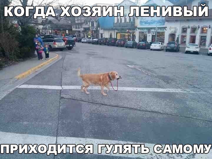    :D - 30  2017  02:03