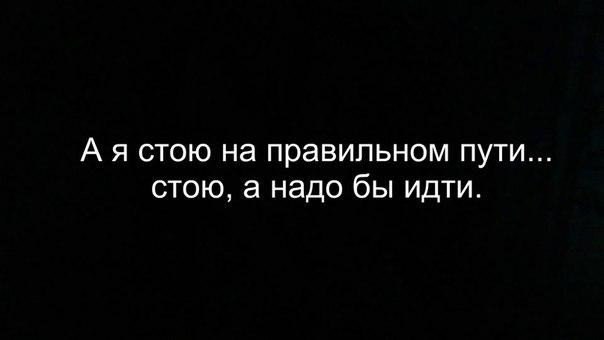  ,  .© - 6  2017  03:46