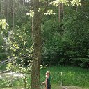 ���� Daiva, ������ - ��������� 21 ������� 2017 � ������ ���� ����������