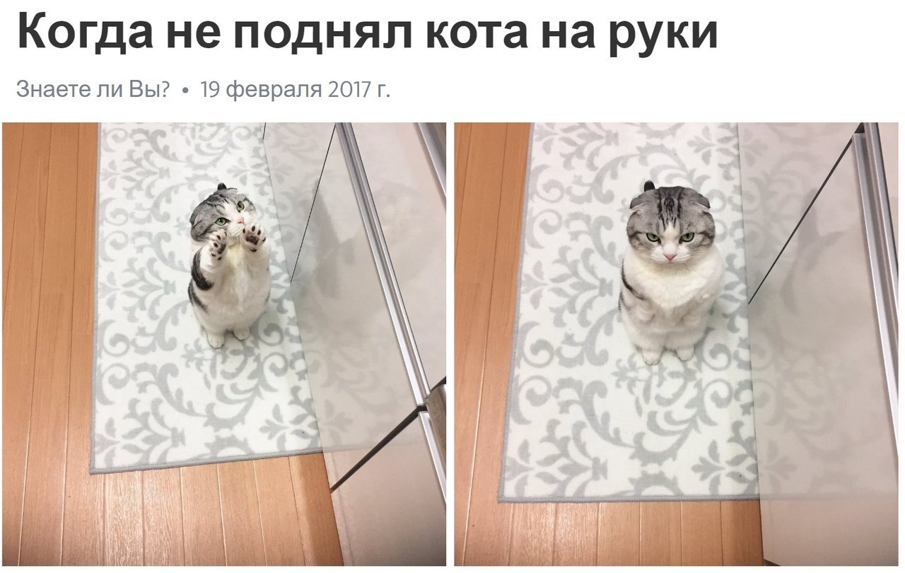   - 20  2017  03:38