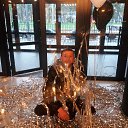 ���� ���� ���, ����, 39 ��� - ��������� 14 ������ 2017