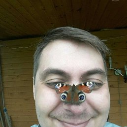 ���� ����������, ������, 44 ���� - ��������� 30 ������� 2017