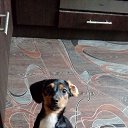 ���� Evgenyi, ������������, 50 ��� - ��������� 20 ������� 2017