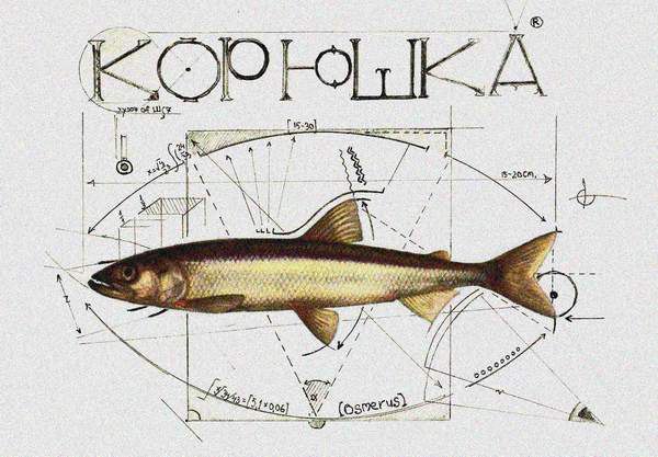 Почему корюшка пахнет огурцом? Как писал Шекспир, роза пахнет розой, хоть розой назови её, хоть нет. ...