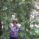 ���� �����, ��������, 67 ��� - ��������� 24 ������� 2017