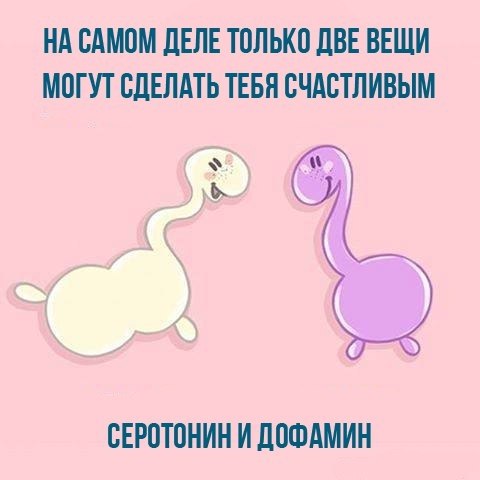    - 9  2017  16:50