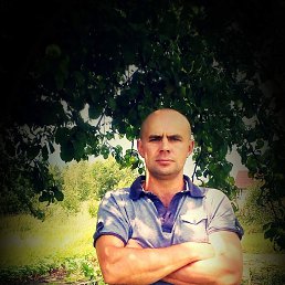 ���������, ����������, 43 ����