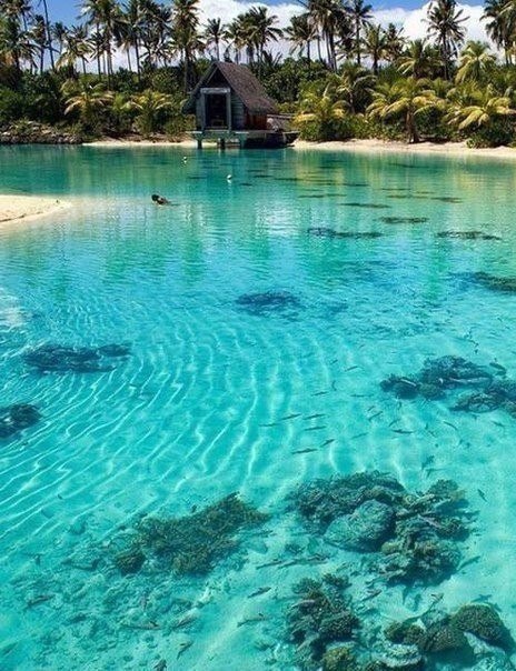 He o e,  xop oc! - 4