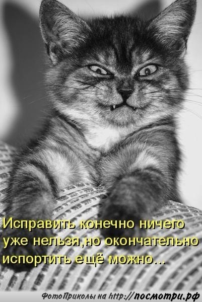    - 16  2017  03:53