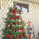 04.08.2017 �. �� ������� ���� ����������