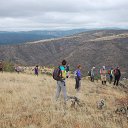 ���� Pevril, ������, 54 ���� - ��������� 17 ������� 2017 � ������ ������ ��������