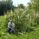 ���� �������, ������, 36 ��� - ��������� 25 ���� 2017 � ������ �������� �� ������ ������ (��������� - ������) (���� 2017)�