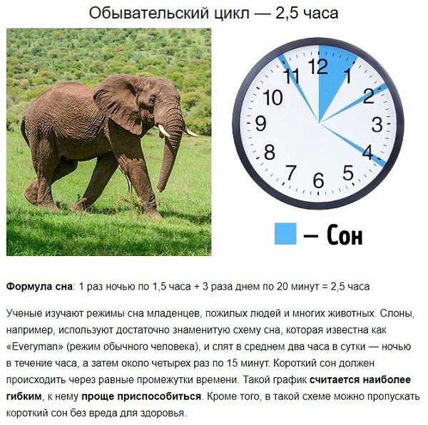 Сон! У кого то он занимает пол жизни, а у кого то всего лишь 2 часа! - 6