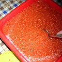 ���� �������� ����, �������, 57 ��� - ��������� 8 ���� 2017 � ������ ���� ����������