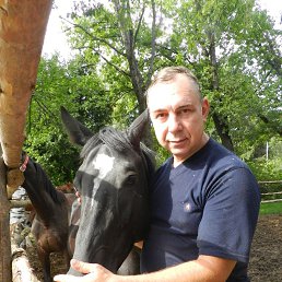 �����, �����-���������, 64 ����