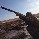  Vladimir, , 36  -  10  2017    