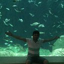 ���� Samir, ����, 44 ���� - ��������� 4 �������� 2017 � ������ ���� ����������