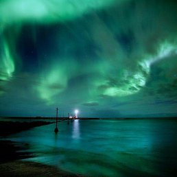 ���� �����, ������-��-����, 35 ��� - ��������� 8 ������� 2017