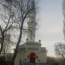 ���� Grus, �������� - ��������� 18 ������ 2017 � ������ �18.11.2017 � ������