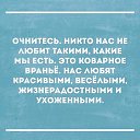 ���� �����, ������, 34 ���� - ��������� 8 ������ 2017 � ������ ���� ����������