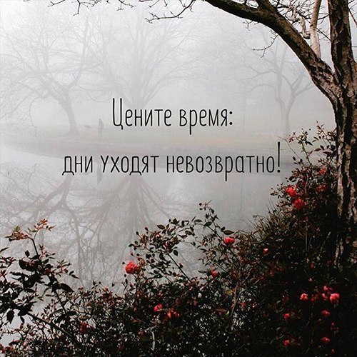  - 28  2017  23:18