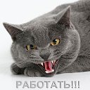 ���� ������, ������, 48 ��� - ��������� 6 ��� 2017 � ������ ���� ����������