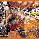 ���� ������, ������������, 58 ��� - ��������� 31 ������� 2017 � ������ �)))�