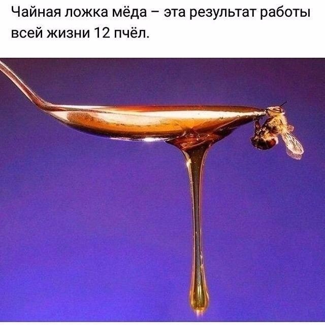   :    - 29  2017  14:17