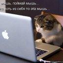 ���� Liliya, �������� - ��������� 7 ���� 2017 � ������ ������������ ����� ������