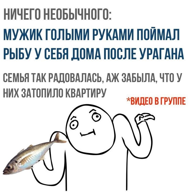    - 29  2017  18:59