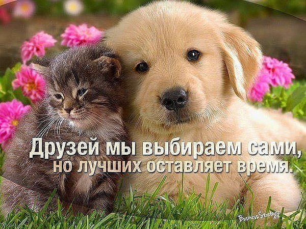 Подруга — это новостное издание, психиатр, бармен, рекламный менеджер, служба спасения и ... - 10