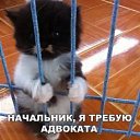 ���� ��������, ��������� - ��������� 22 ��� 2017 � ������ ���� ������