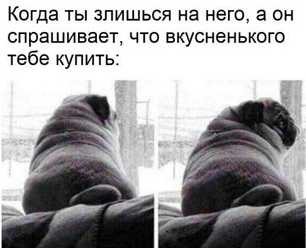    - 16  2017  03:29