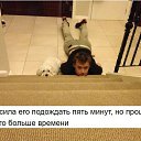 ���� ����, ��������, 36 ��� - ��������� 8 ��� 2017 � ������ ������ ��������