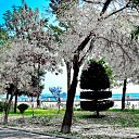  ,  -  24  2017                   Ѩ       һ