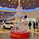 ���� �������, �������� - ��������� 6 ��� 2017 � ������ ���������.������-2016�.�