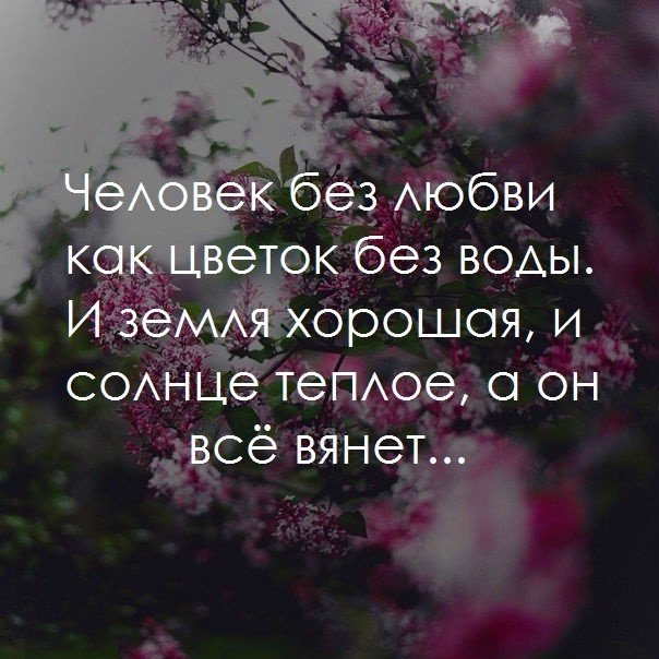    - 13  2017  00:10