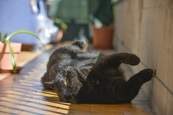      :3 - 2