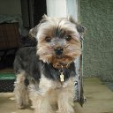 � ��� ��� 3 ����! �� ������� �������� (������)�