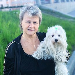 ���� ��������, �����-���������, 59 ��� - ��������� 12 ���� 2017