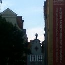 ������ �� ������� ���� ����������