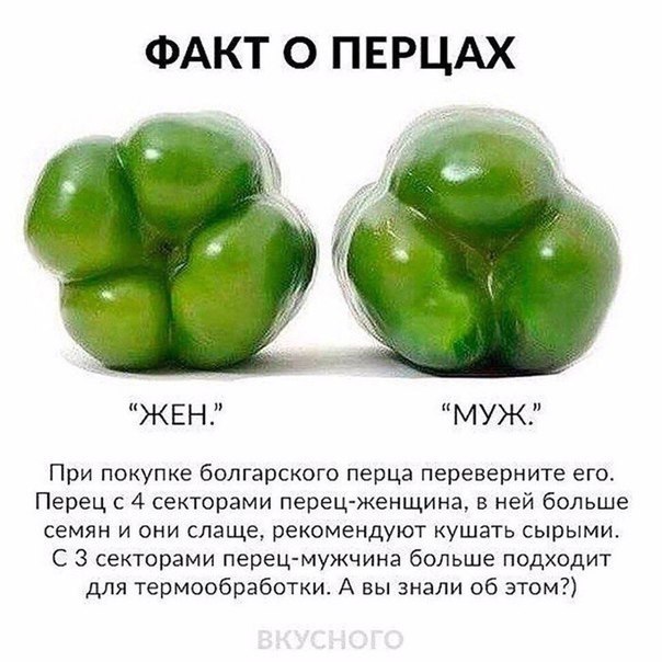 https://fotostrana.ru/away?to=/sl/2wC2 -   - 19  2017  09:11