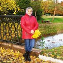  ,  , 63  -  20  2017    