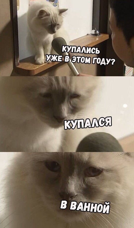  - 10  2017  15:13