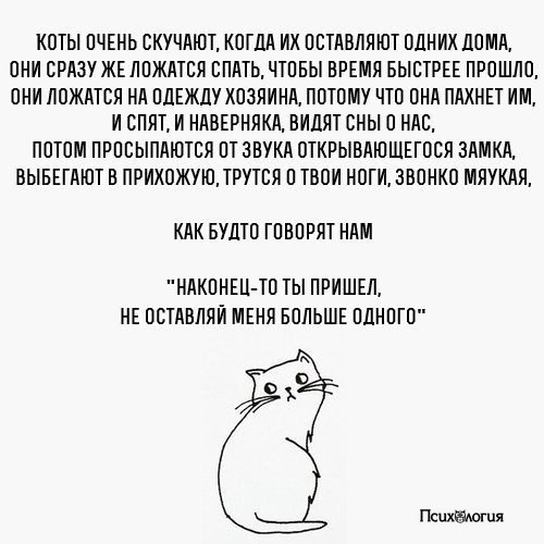  - 13  2017  23:08