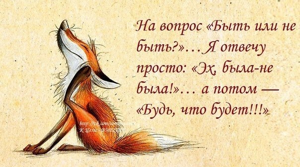 =Fox= - 27  2017  15:15