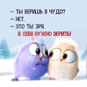 ���� �����, ���������� - ��������� 7 ������ 2017 � ������ ������ ��������
