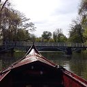 ���� ���, ������ - ��������� 2 ���� 2017 � ������ �������� 2017�