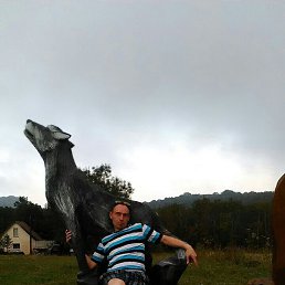 �������, ������, 49 ���